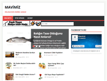 Tablet Screenshot of mavimiz.com